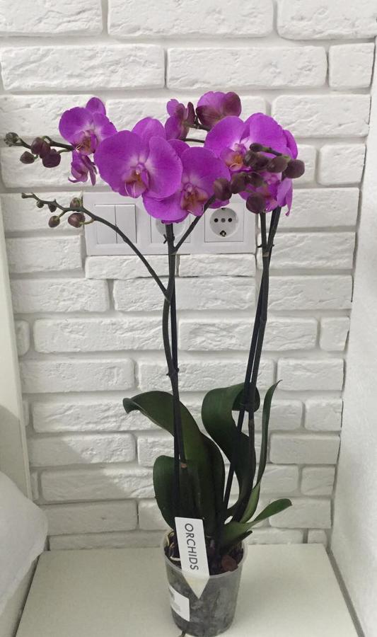 קייב Skyhome Goloseevsky מראה חיצוני תמונה